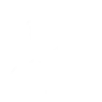 Mechanic
