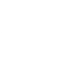 Vision